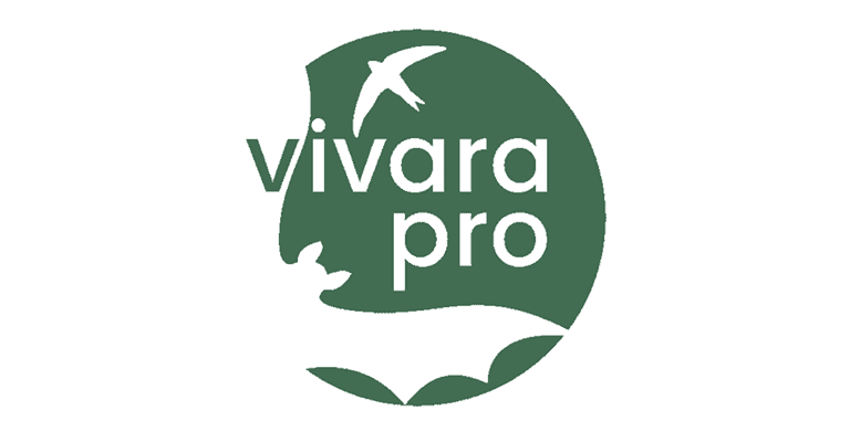 VIV