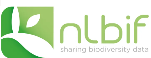 NLBIF
